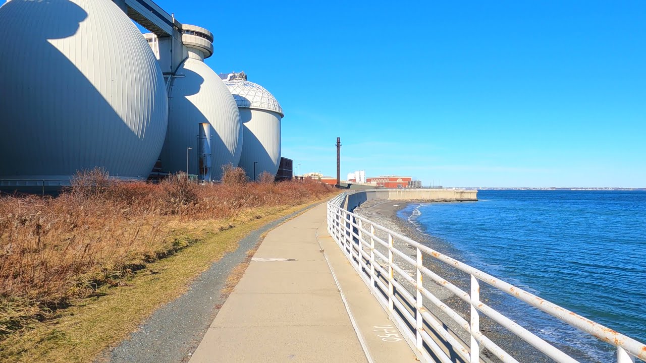Virtual Trail Running - Boston - Deer Island Loop