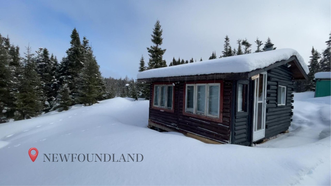 A Forgotten Off-Grid Log Camp In Newfoundland | Bringing It Back