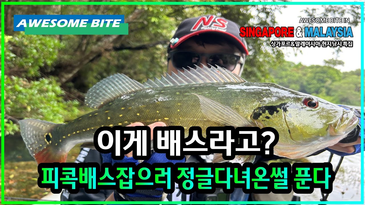 [ep.6] 이게 배스라고? 피콕배스 잡으러 정글 다녀왔습니다!