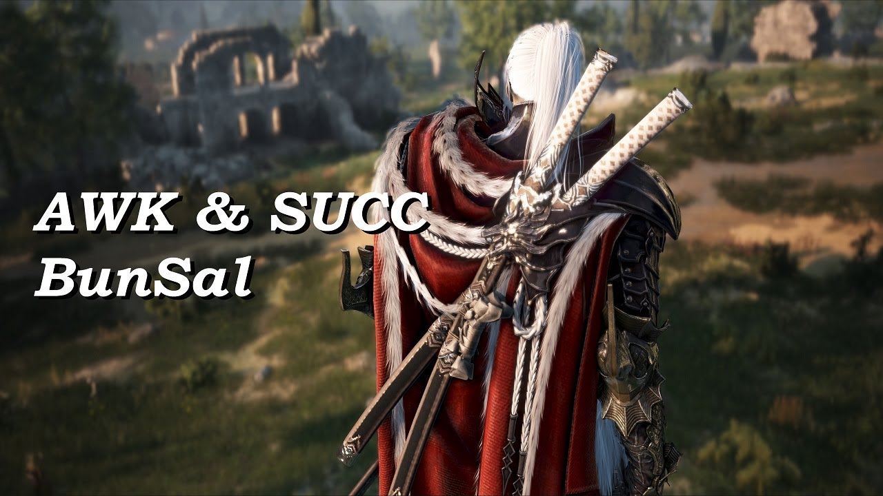 각닌 vs 전닌 당신의 선택은? / AWK or SUCC ? [BDO] Ninja PVP