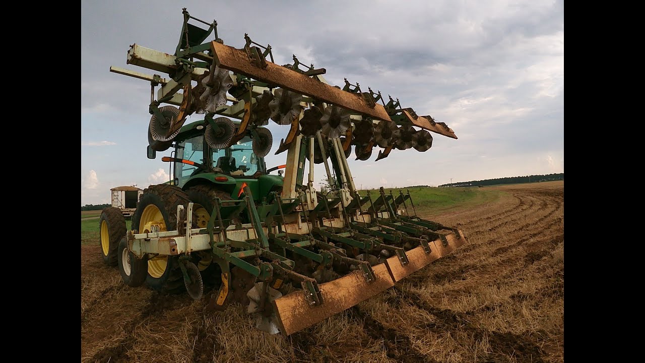Strip tilling cotton into wheat field