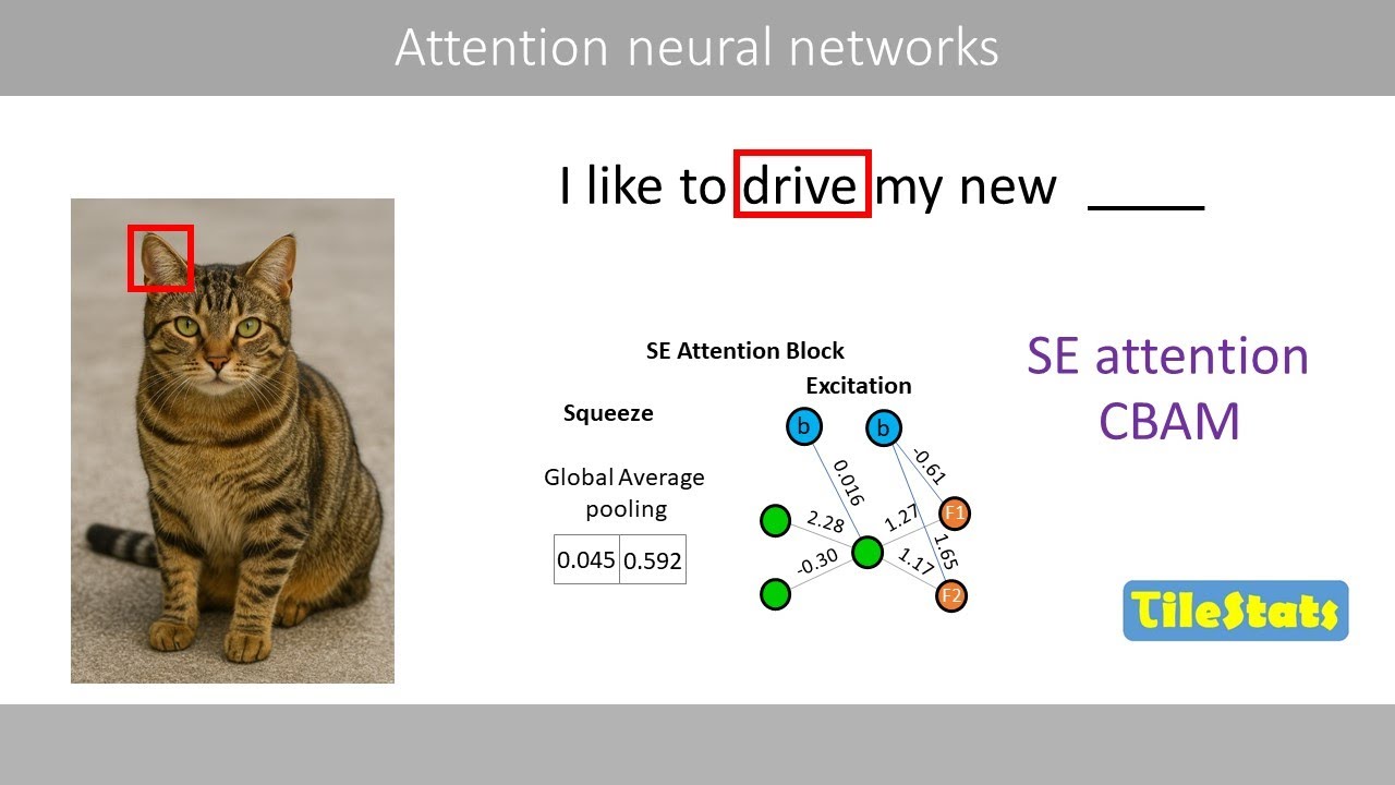 Attention Neural Networks: Boosting CNNs with SE and CBAM Attention