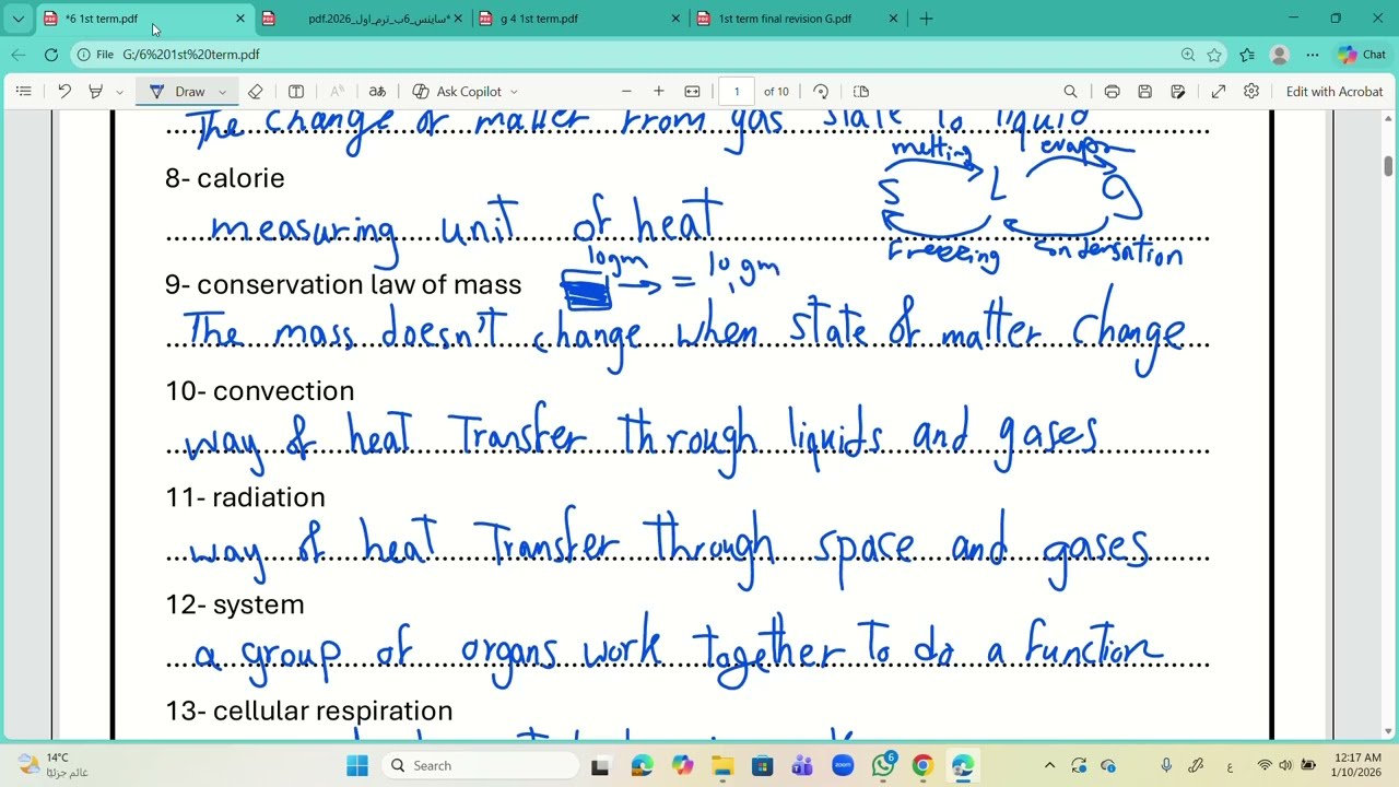 grade 6 final revision part 1