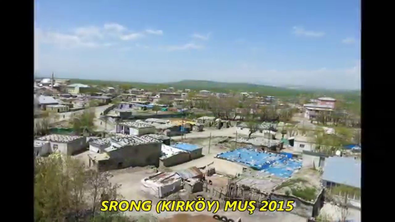 srong kırköy muş 2015 resimleri