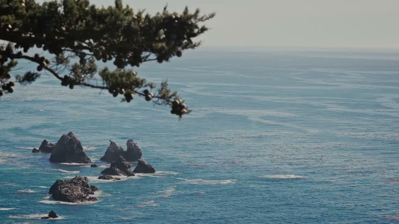 Cinematic Still-Frame Nature Film | Calm Winter Coastline | Big Sur Coast, California, January 2026