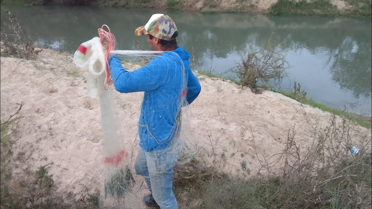 buscando la carnada. pesca con atarraya