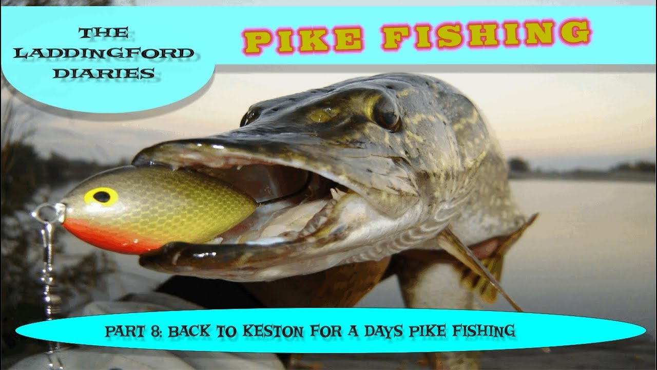 Pike Fishing: Laddingford Diary Part 8: Back To Keston Ponds For a Days Pike Fishing With Dave