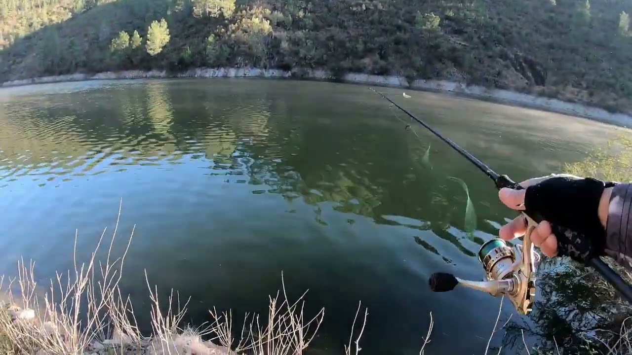 Pesca ao Achig&atilde;(f&eacute;rias 2025)
