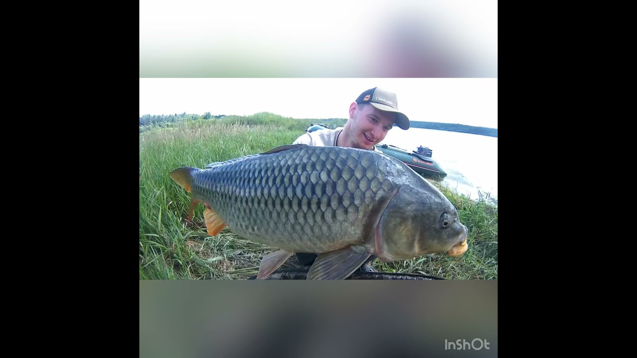 Oravská priehrada sezóna 2019 (foto+video) carp