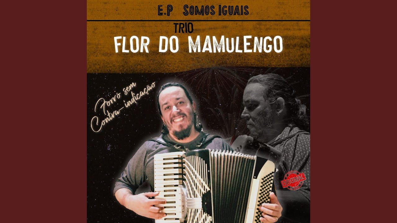 Fui Enganado