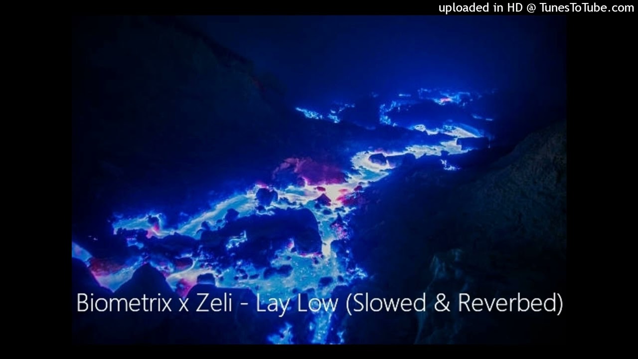 Biometrix x Zeli - Lay Low (Slowed & Reverbed)