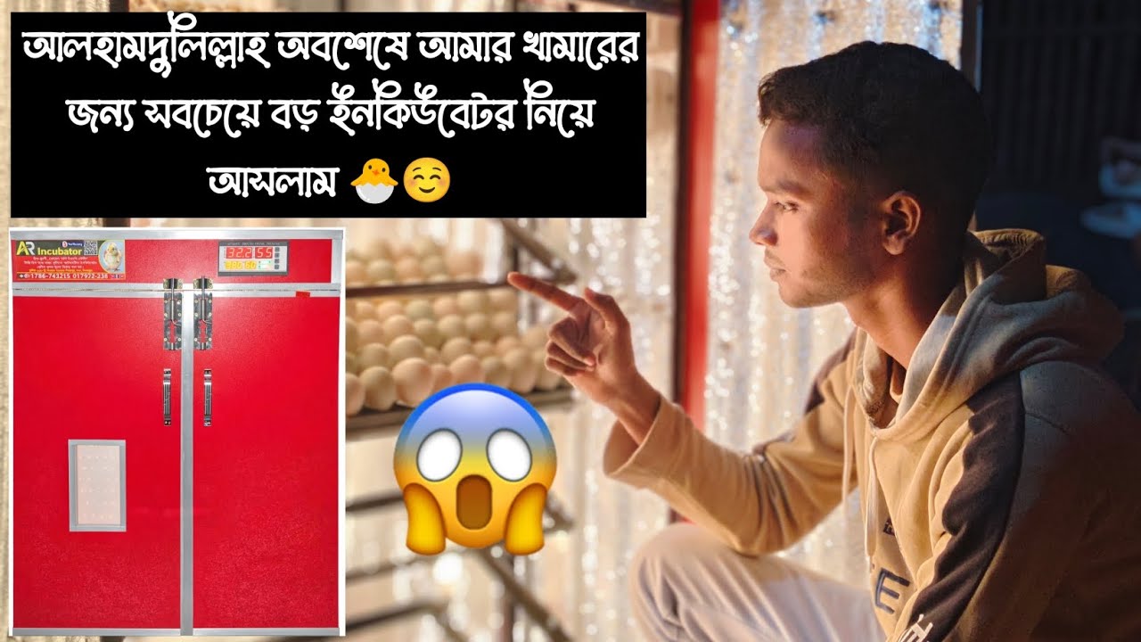 আলহামদুলিল্লাহ আমার খামারের জন্য প্রথমবার বড় একটি ইনকিউবেটর নিয়ে আসলাম।❤️‍🩹🐣🤲|| Jahid Agro 