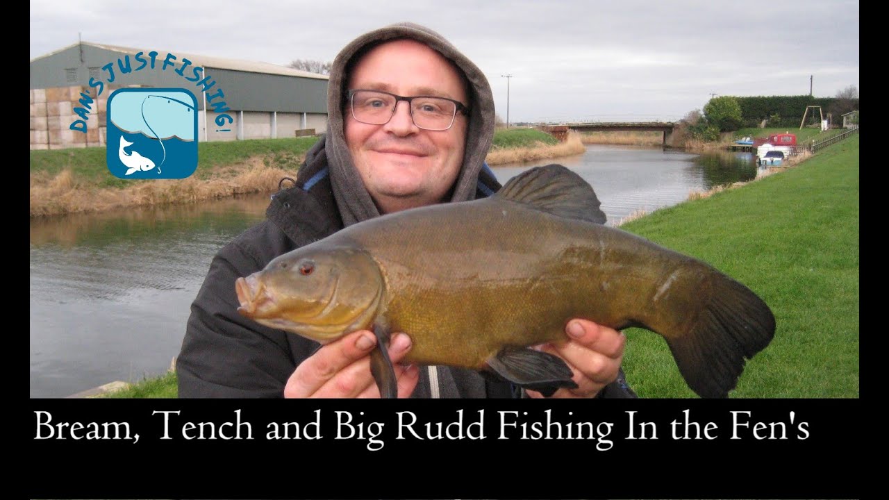 Bream and Tench Fishing on the Fens, surprise big Rudd!