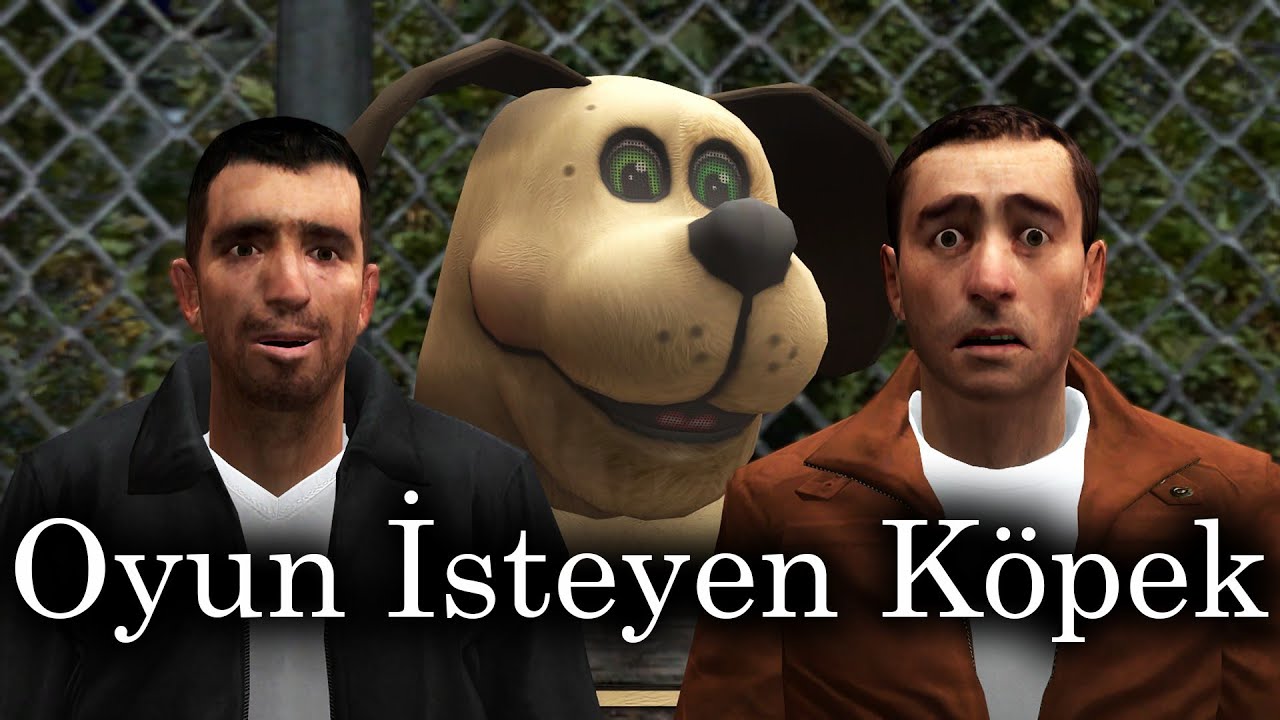 Oyun İsteyen Köpek