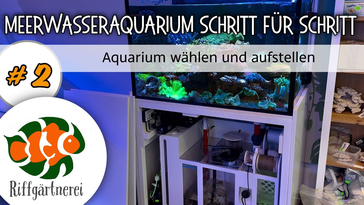 Meerwasseraquarium starten - Schritt für Schritt - No 2. Aquarium wählen und aufstellen