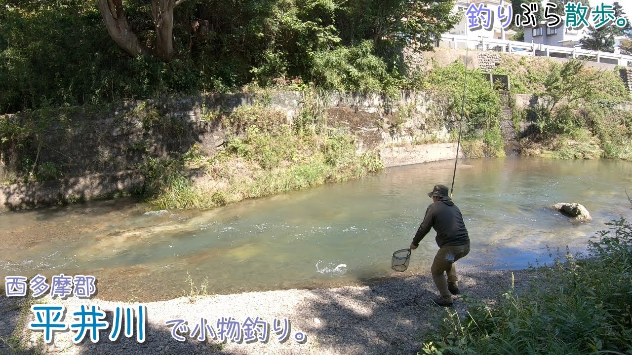 まさかの大物2連発！！久しぶりにタモ使いました！  西多摩郡 日の出町の 平井川で小物釣り。