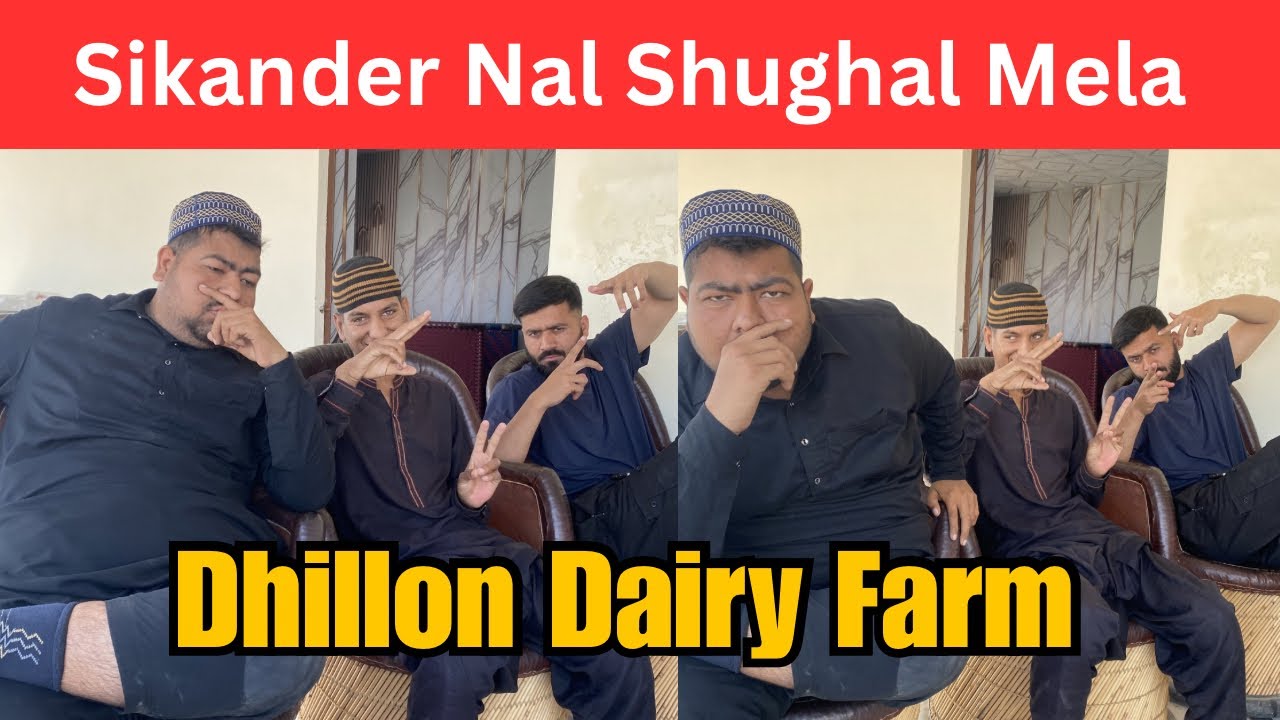 Shughal mela yaraan da/ nasir dhillon/ Dhillon dairy farm 