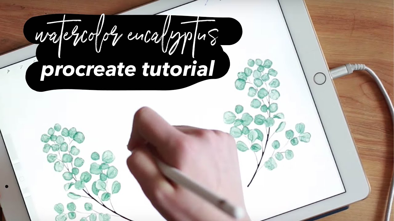 How to Paint Watercolor Eucalyptus Wreaths in Procreate on the iPad Pro