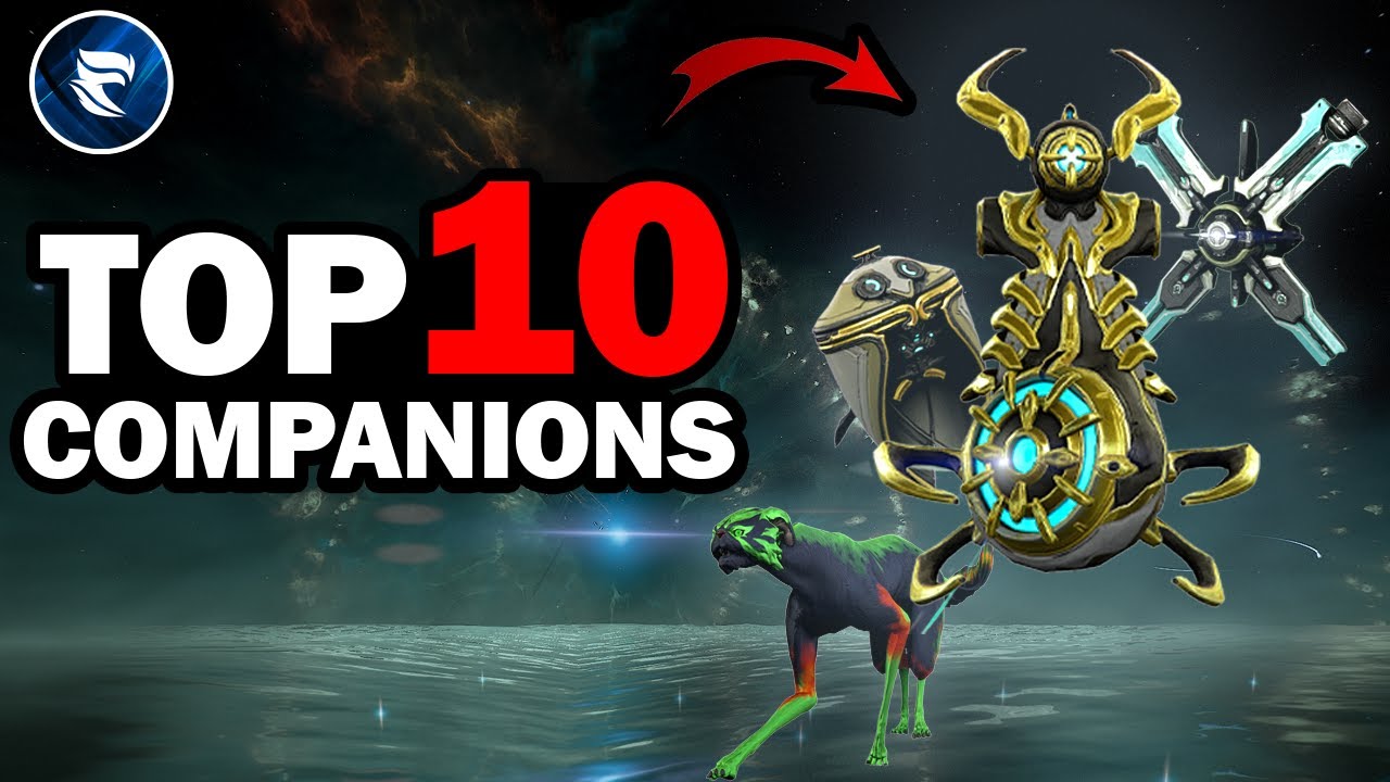 Warframe: Top 10 Companions 2024!