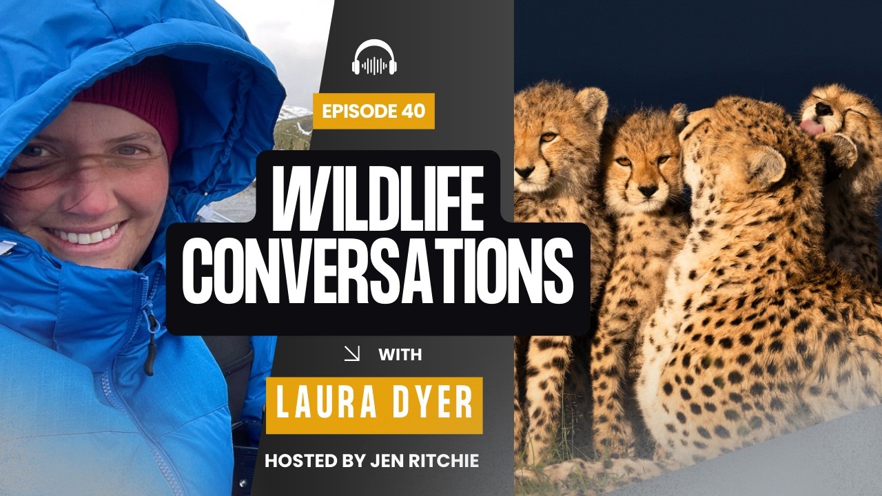 Ep. 40: Wildlife Photographer & Guide Laura Dyer on Cheetahs, Safari, and Finding that Perfect Light