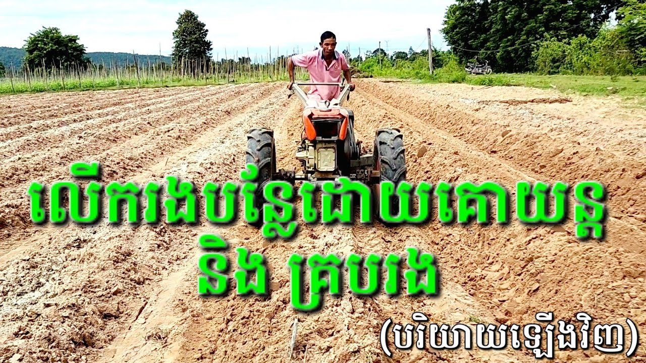 រៀបចំរងបន្លែ (របៀបលើករងបន្លែដោយប្រើគោយន្តកន្ត្រៃ - រាយប្រព័ន្ធទឹក - ការគ្របកៅស៊ូ) បរិយាយសង្ខេប