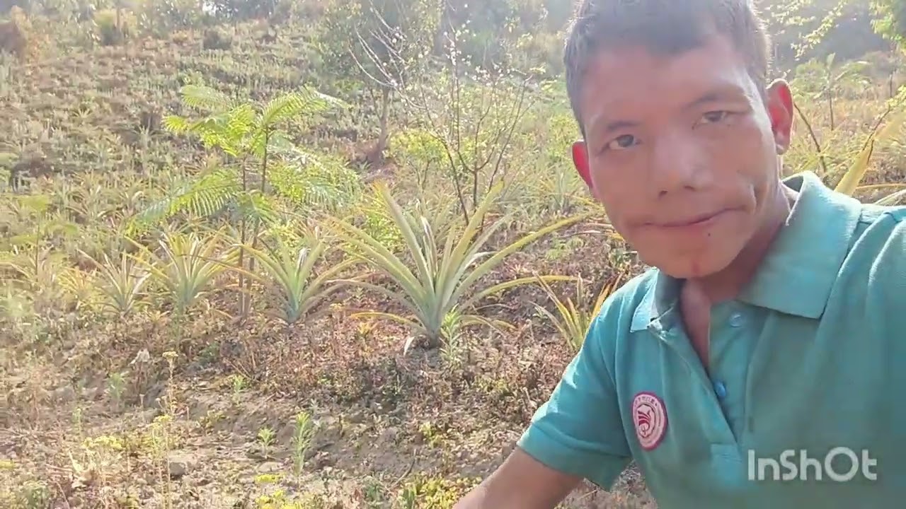 Burma lakuih thei huan ah kan kal 