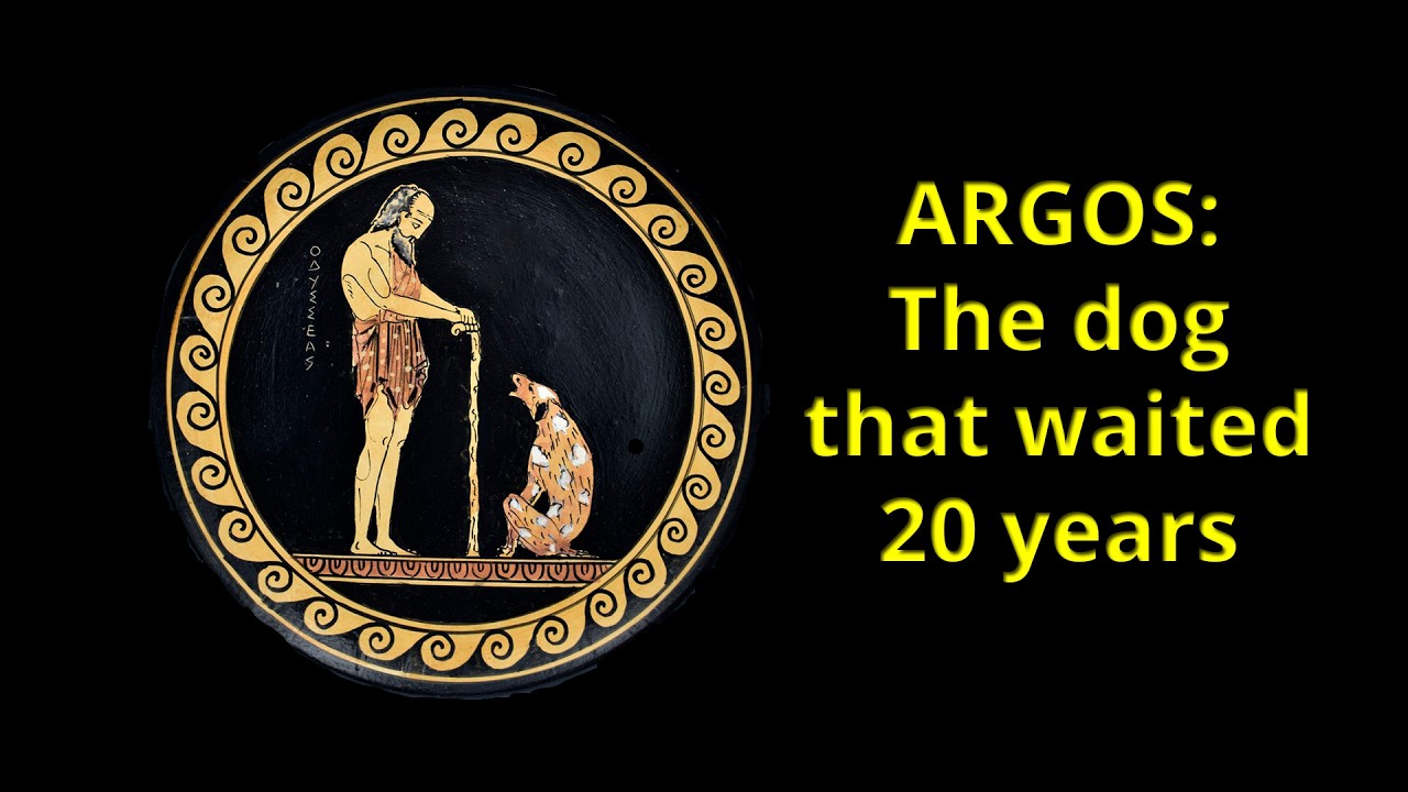 Argos: the dog that waited 20 years