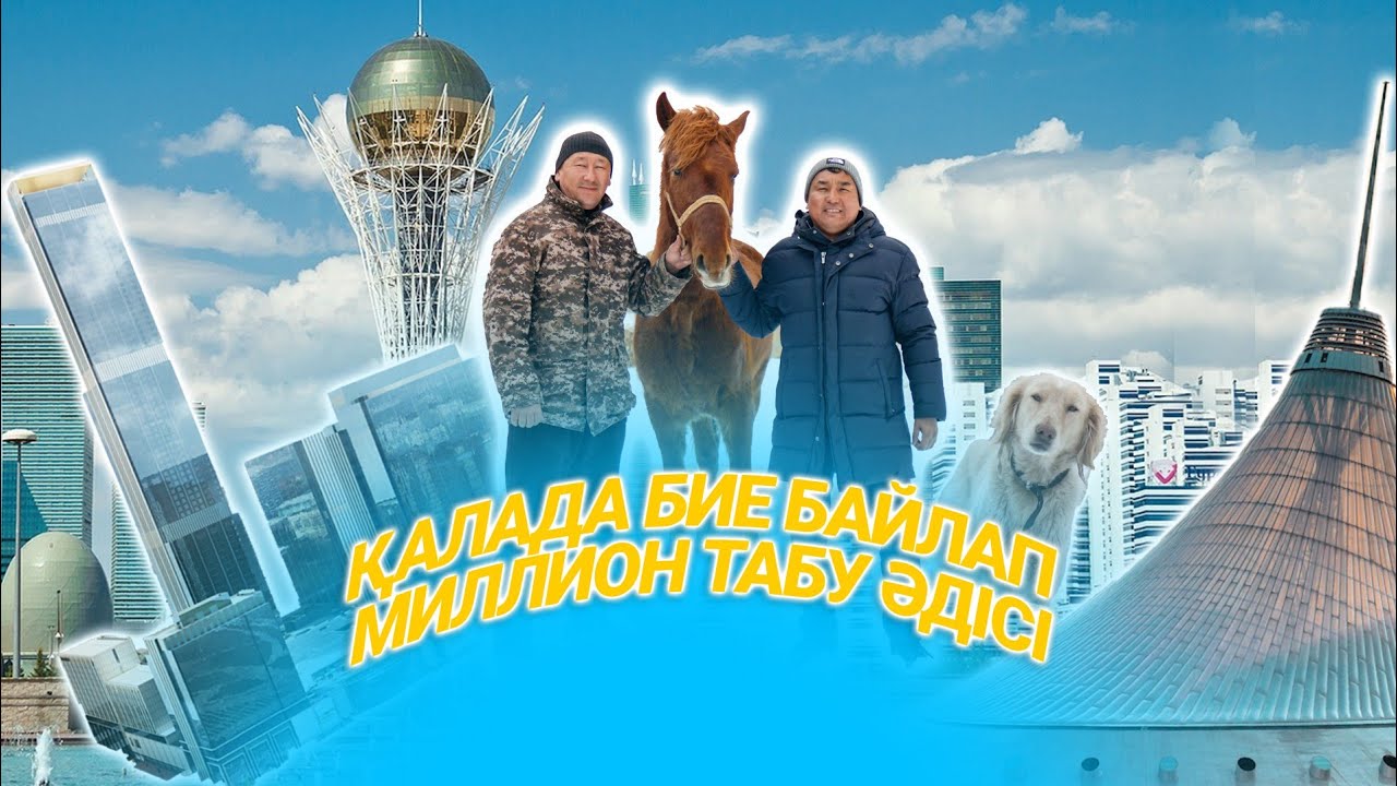Қалада бие байлап, АЙЫНА миллион ТЕҢГЕ табу әдісі