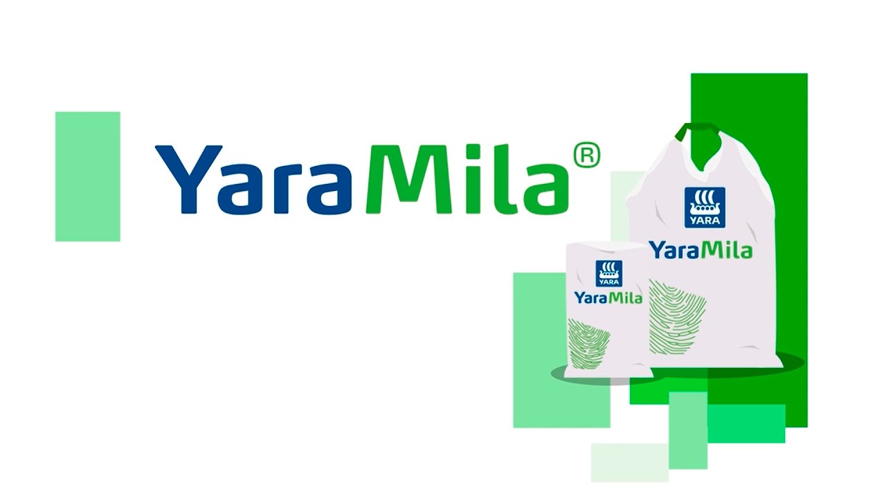 Conhe&ccedil;a o YaraMila