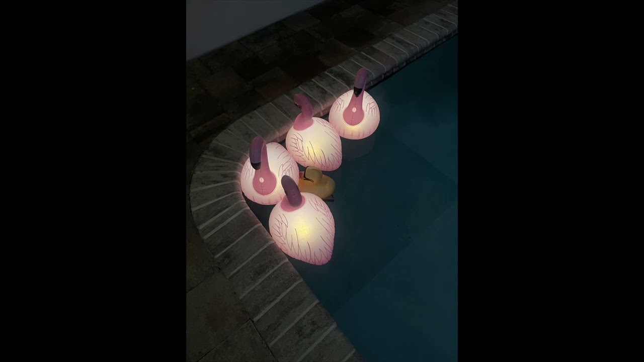 Plastic Flamingos in a Swimming Pool (generated version)