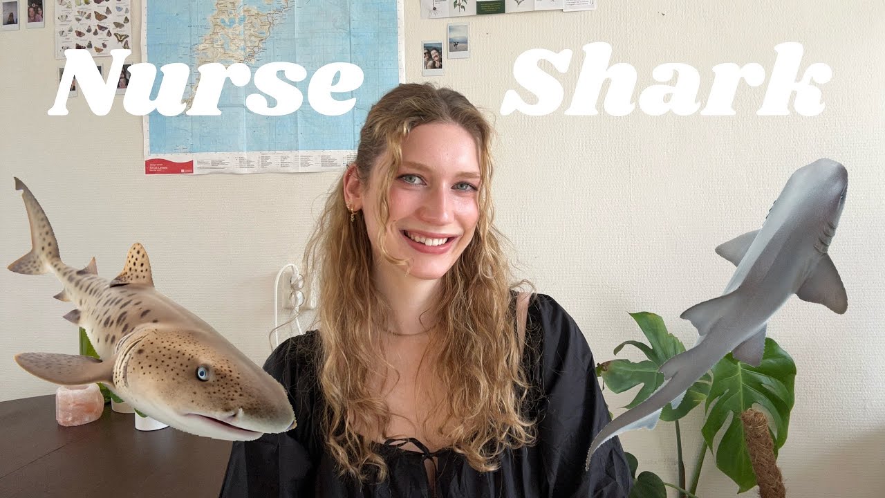 Meet the Nurse Shark: Gentle Night Hunters of the Reef