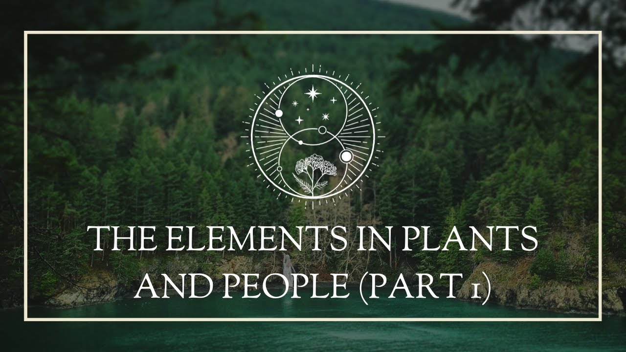The Elements in Plants and People (Part 1)