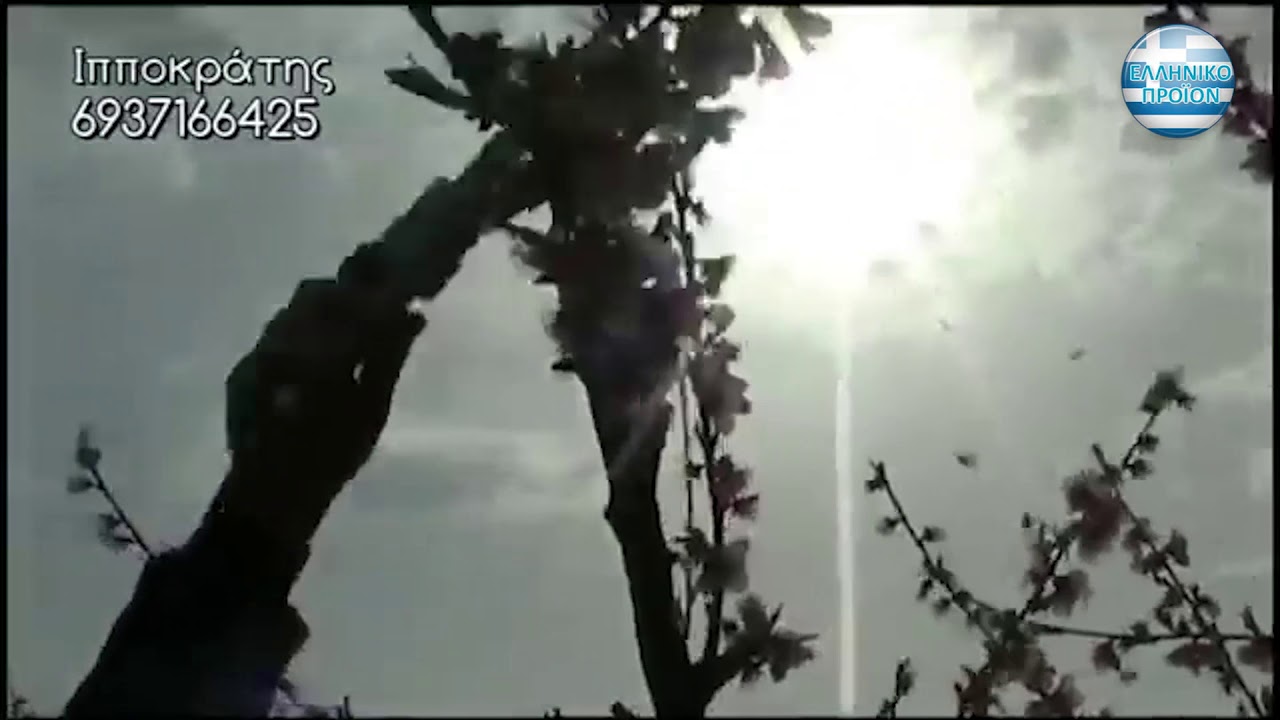 Αραίωμα Ανθών