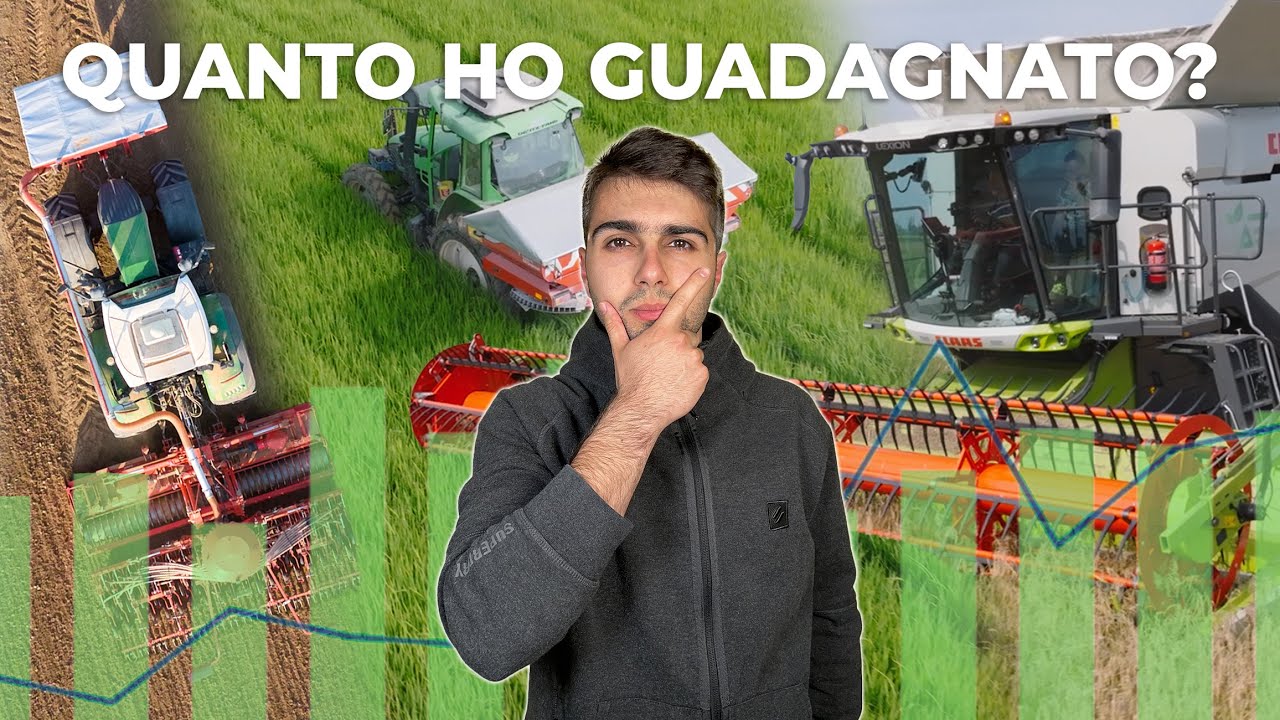 QUANTO HA GUADAGNATO LA MIA AZIENDA AGRICOLA NEL 2024?