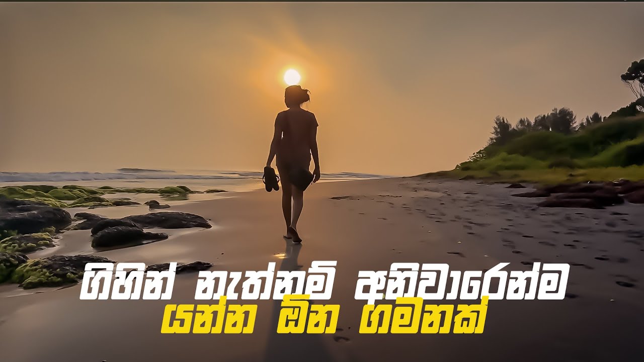 මේ ඔබ එක පාරක් හරි යන්නම ඕන ගමනක් | නැගෙනහිර පලාතේ ලස්සනම ප්‍රදේශය | island Life with Sachith 25