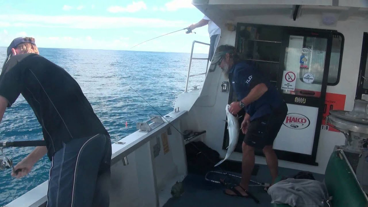 Nitro Rods Tame Jurien Bay