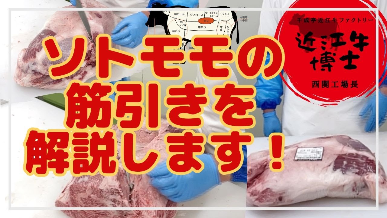 【精肉現場見学/食肉加工者向け】牛肉博士の筋引き －ソトモモ(ソトヒラ)編－　解説付き❗