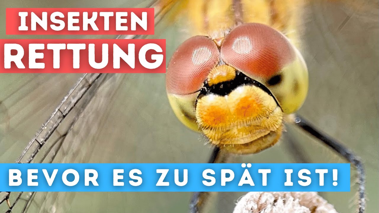 Garten Vlog Besuch im @Park der Gärten   | Wie sieht ein insektenfreundlicher Garten aus?