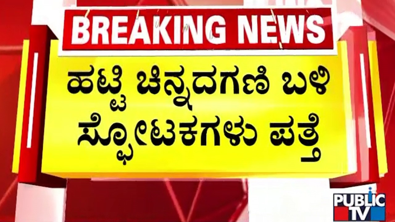 Over 15 Explosives Found Near Hatti Gold Mine | Lingasugur | Public TV