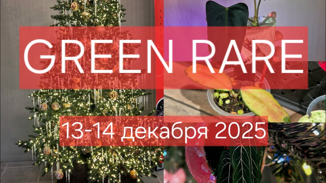 Green Rare 13-14 декабря 2025