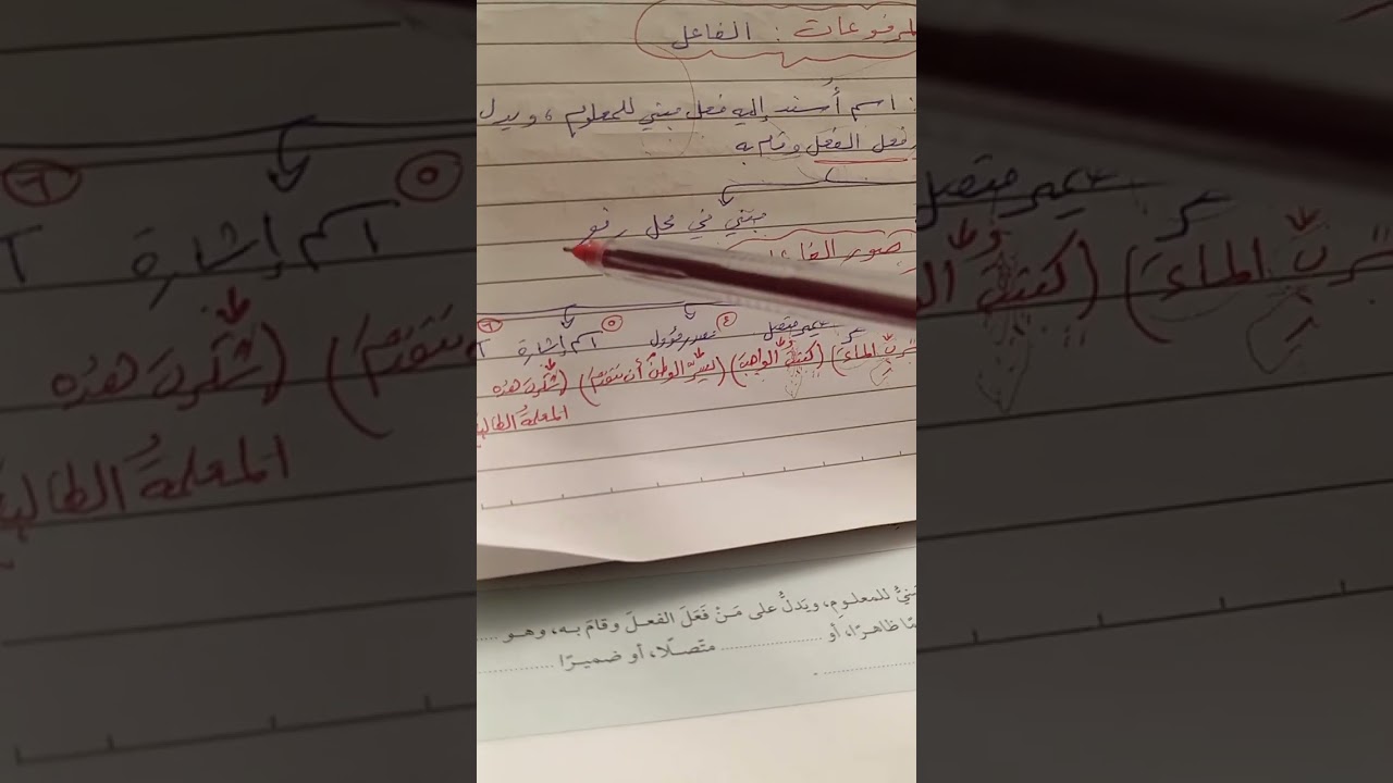 اللغة العربية الصف الحادي عشر شرح درس صور الفاعل ١