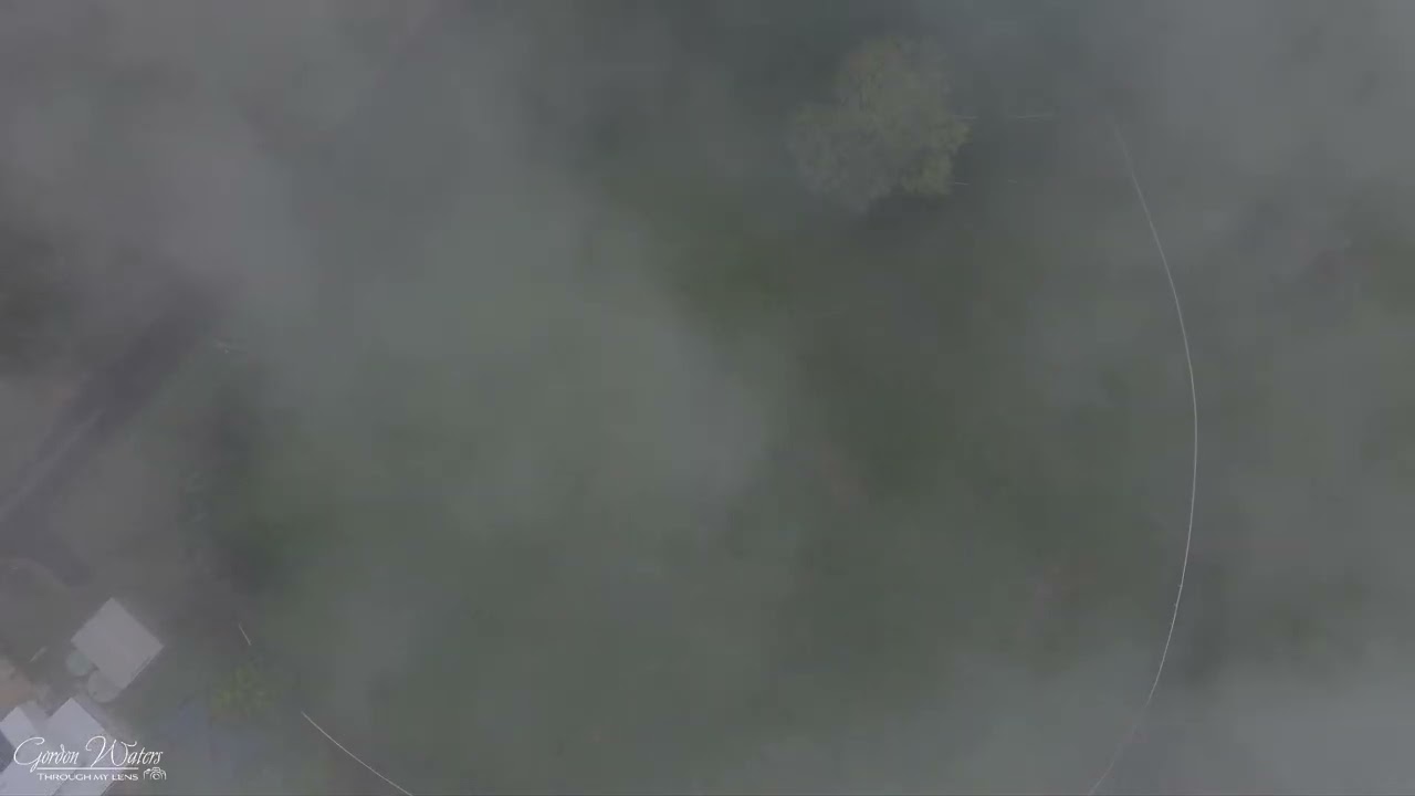 Through the Fog