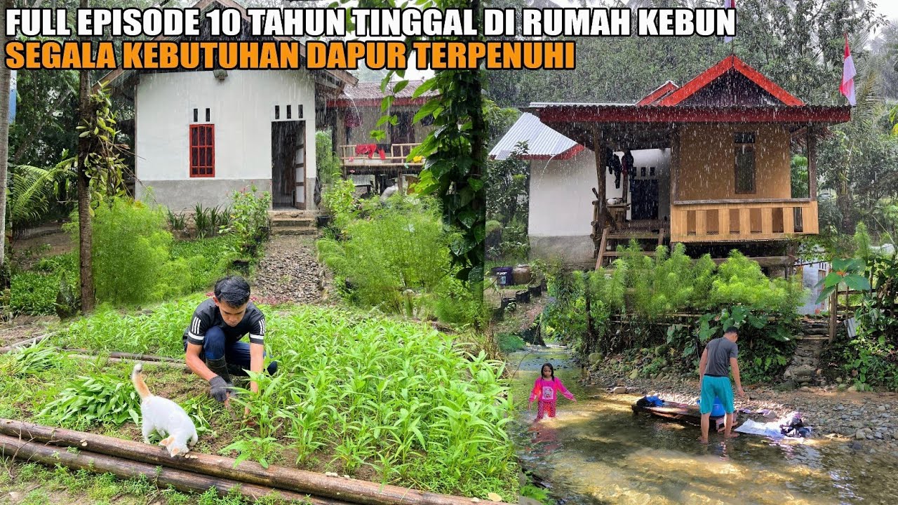 10 TAHUN TINGGAL DI RUMAH PONDOK KEBUN TEPI SUNGAI | BERKEBUN SEGALA KEBUTUHAN DAPUR TERPENUHI