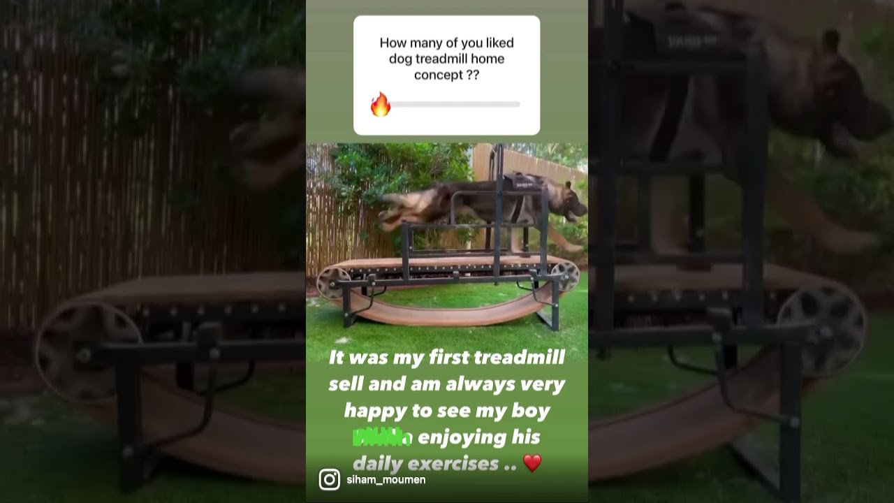 Order now 0561886023..  We are selling 