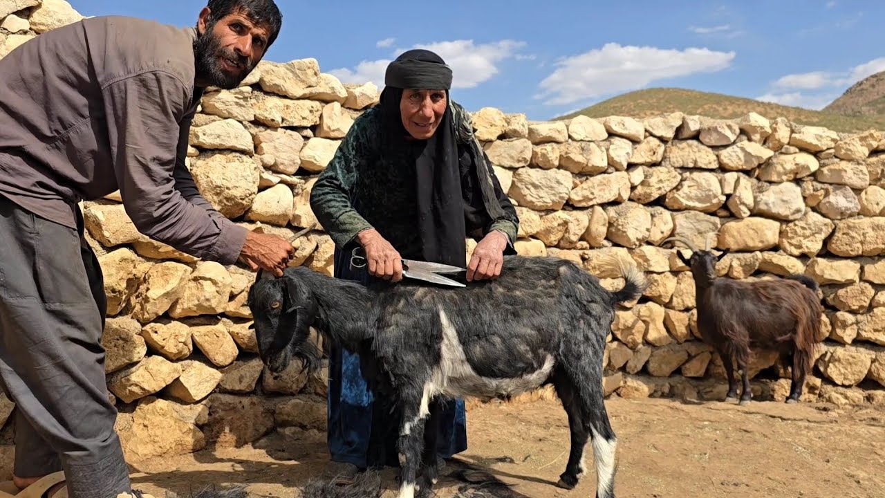 A true adventure in nomadic life; experiencing goat wool for the first time