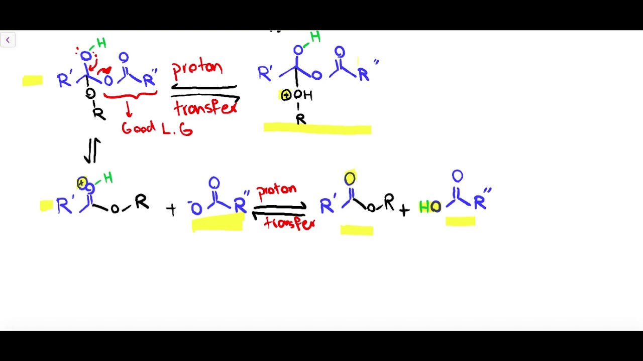 Acetylation Reaction Mechanism-Organic Chemistry