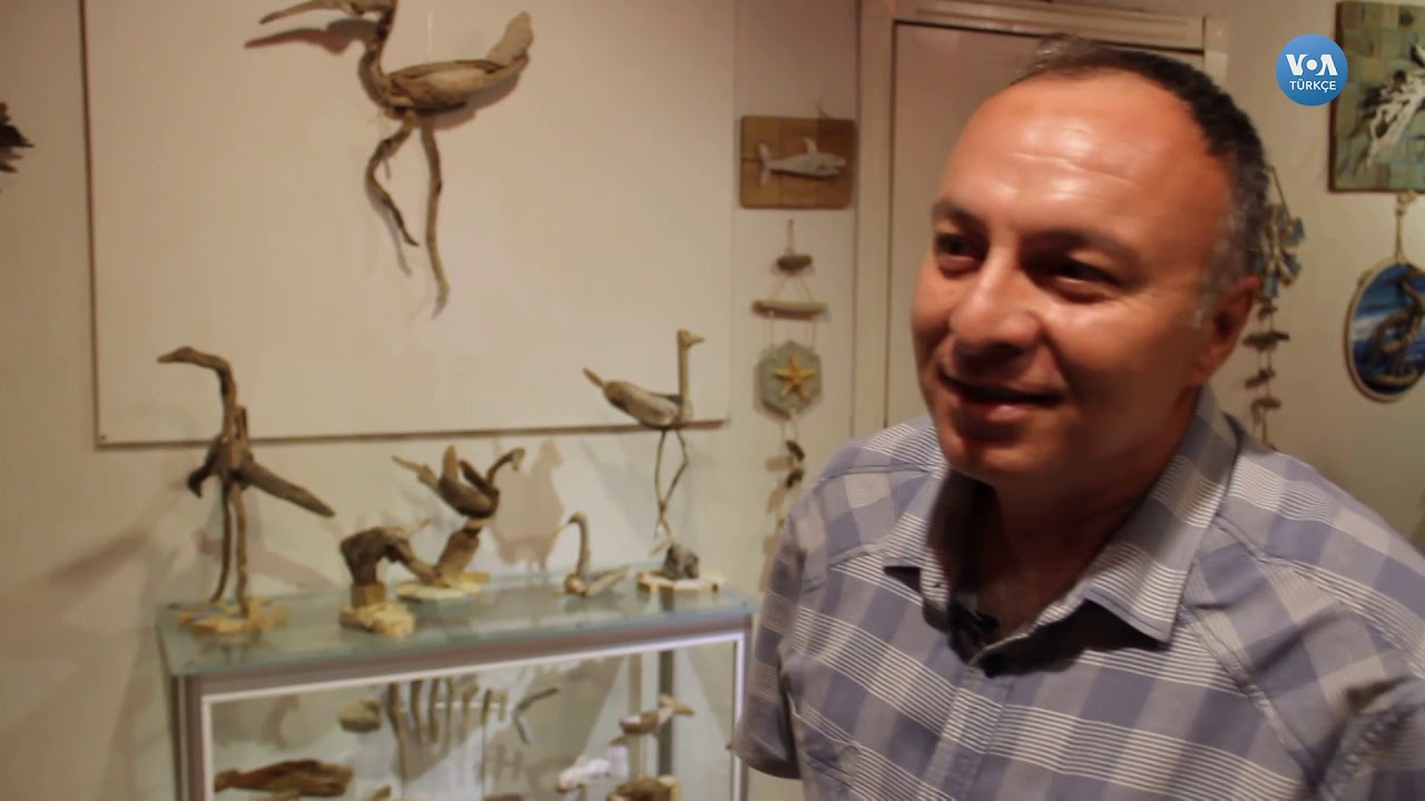 Doğadan Kopan ama Doğaya Ait Sanat: Driftwood