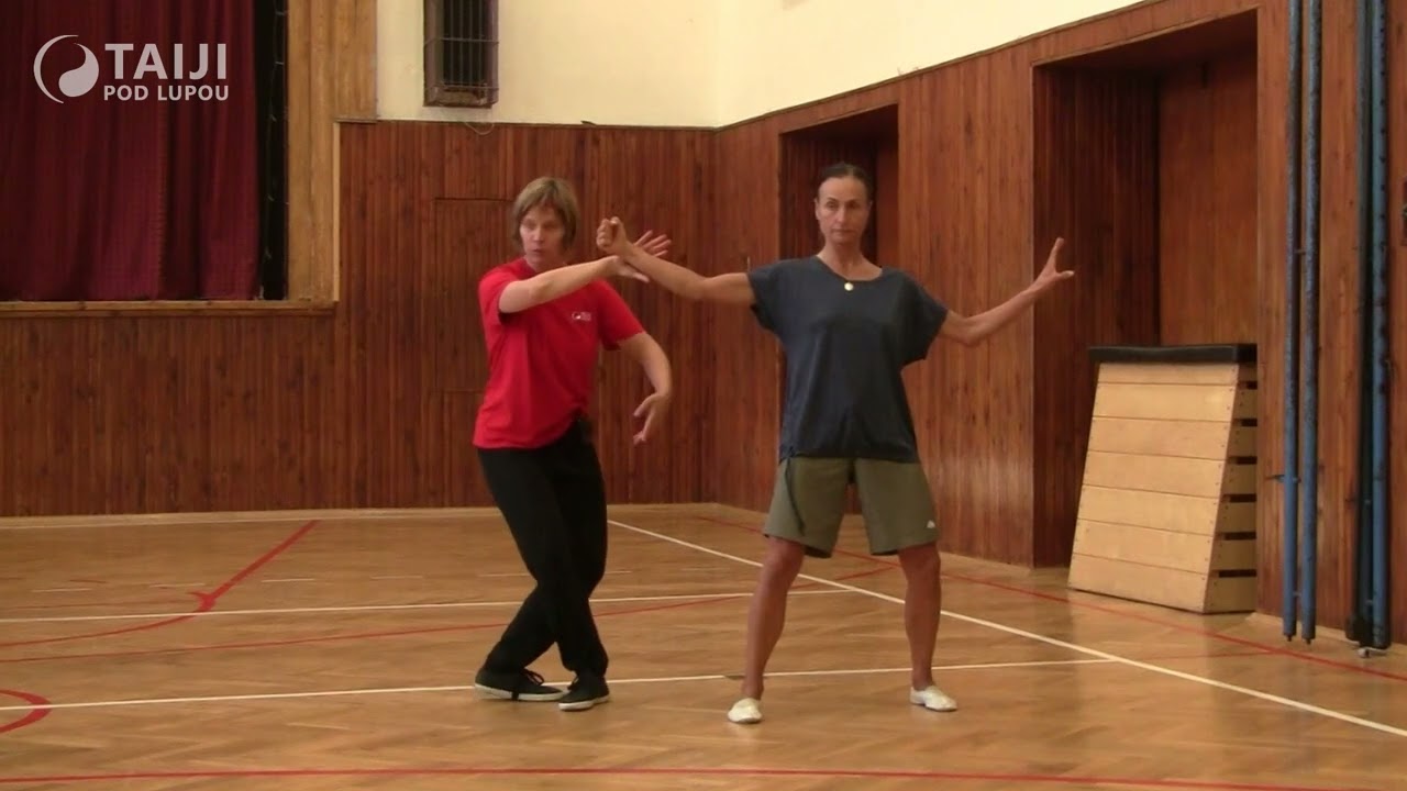 Ukázka nácviku bojové aplikace v Taiji (Tai chi)