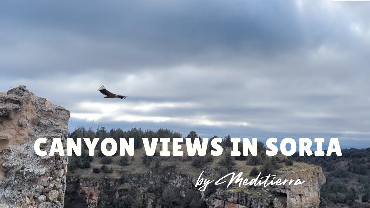 Cloudy Skies over Calatañazor | Griffon Vultures & Canyon Views in Soria