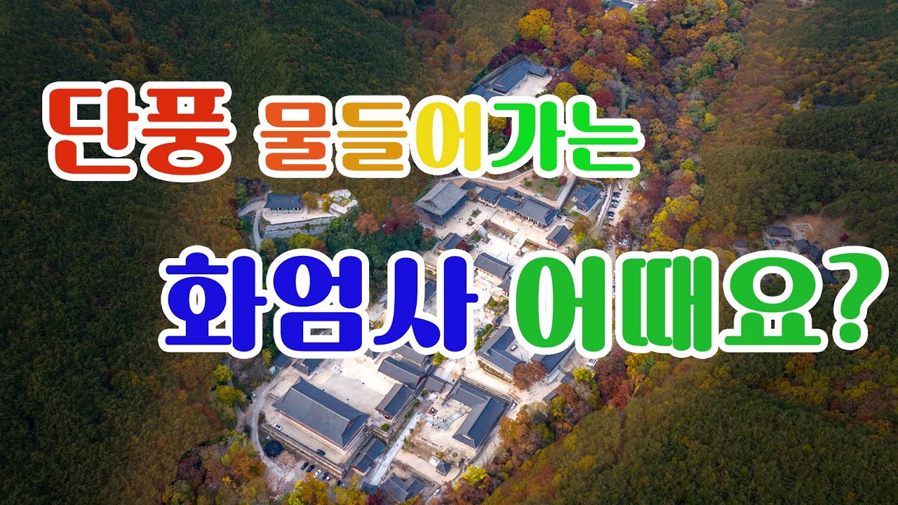 4K 단풍 물들어가는 화엄사 어때요? 가을여행 | 구례여행 단풍놀이 구례화엄사 구례가볼만한곳